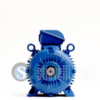 WEG Electric Motor 7,5 kW 2 Poles IE3