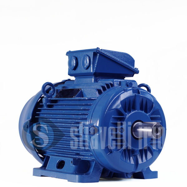 WEG Electric Motor 18,5 kW 6 Poles IE3