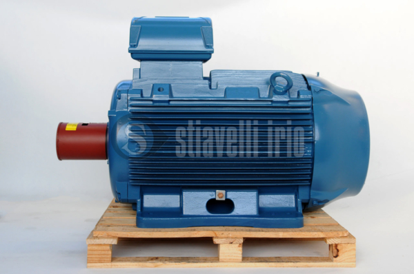 WEG Electric Motor 200 kW 6 Poles IE3