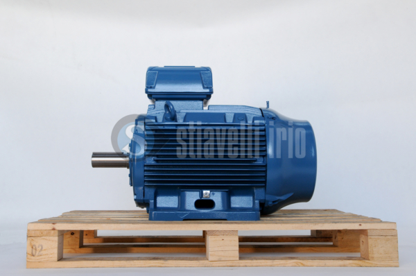 WEG Electric Motor 45 kW 6 Poles IE3