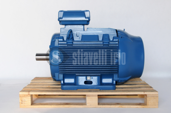 WEG Electric Motor 200 kW 4 Poles IE3