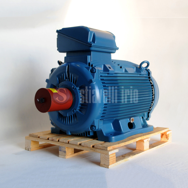 WEG Electric Motor 250 kW 6 Poles IE3