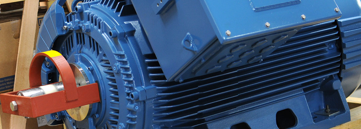 Standard Electric Motors Stiavelli Distribuzione