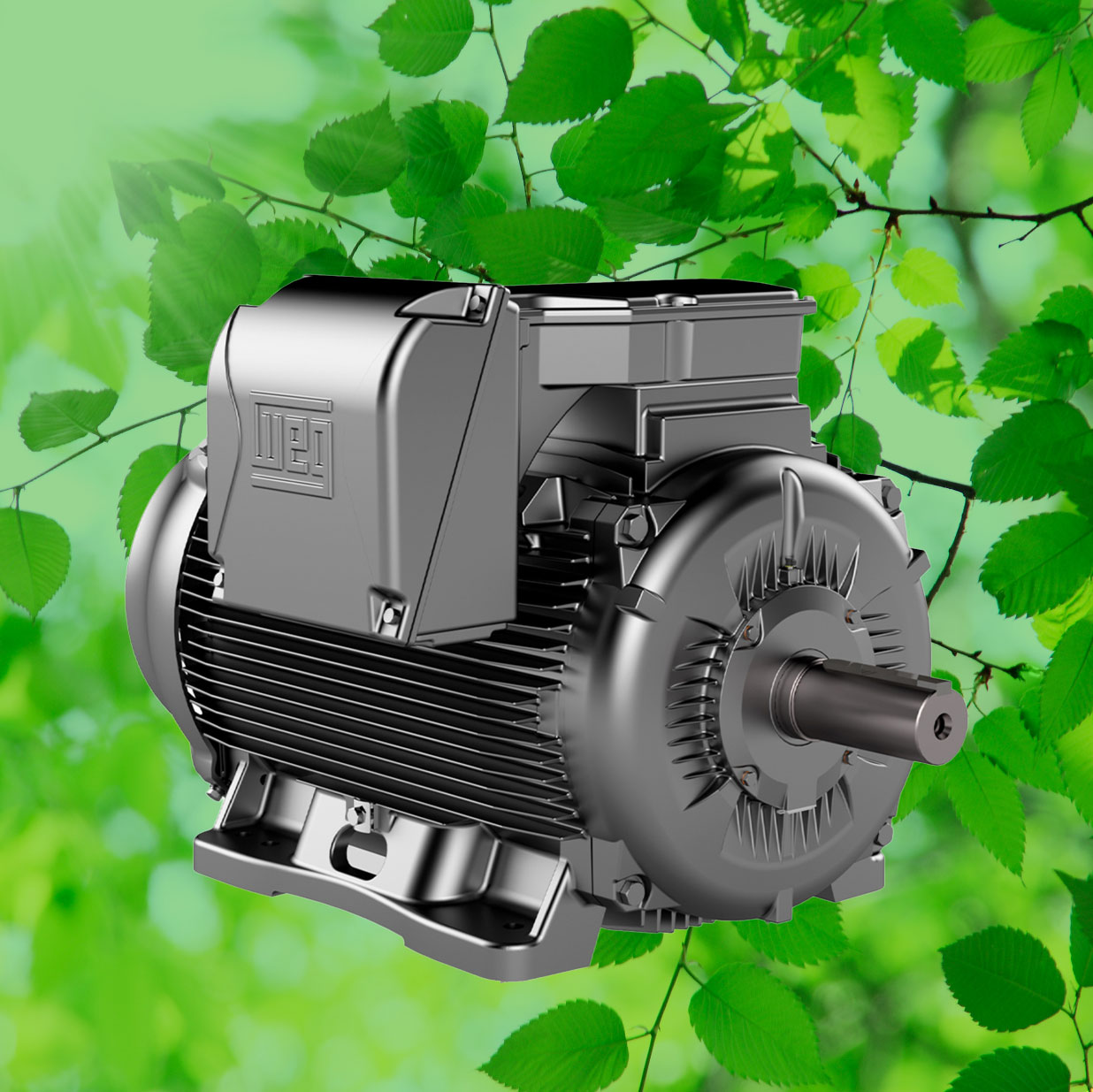 Motori elettrici IE4 risparmio energetico