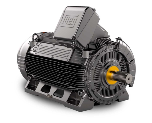 Motori Elettrici WEG W22 IE2/IE3